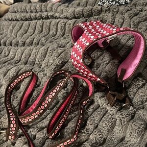 Polka Dot Pink Dog Harness and Leash Set
